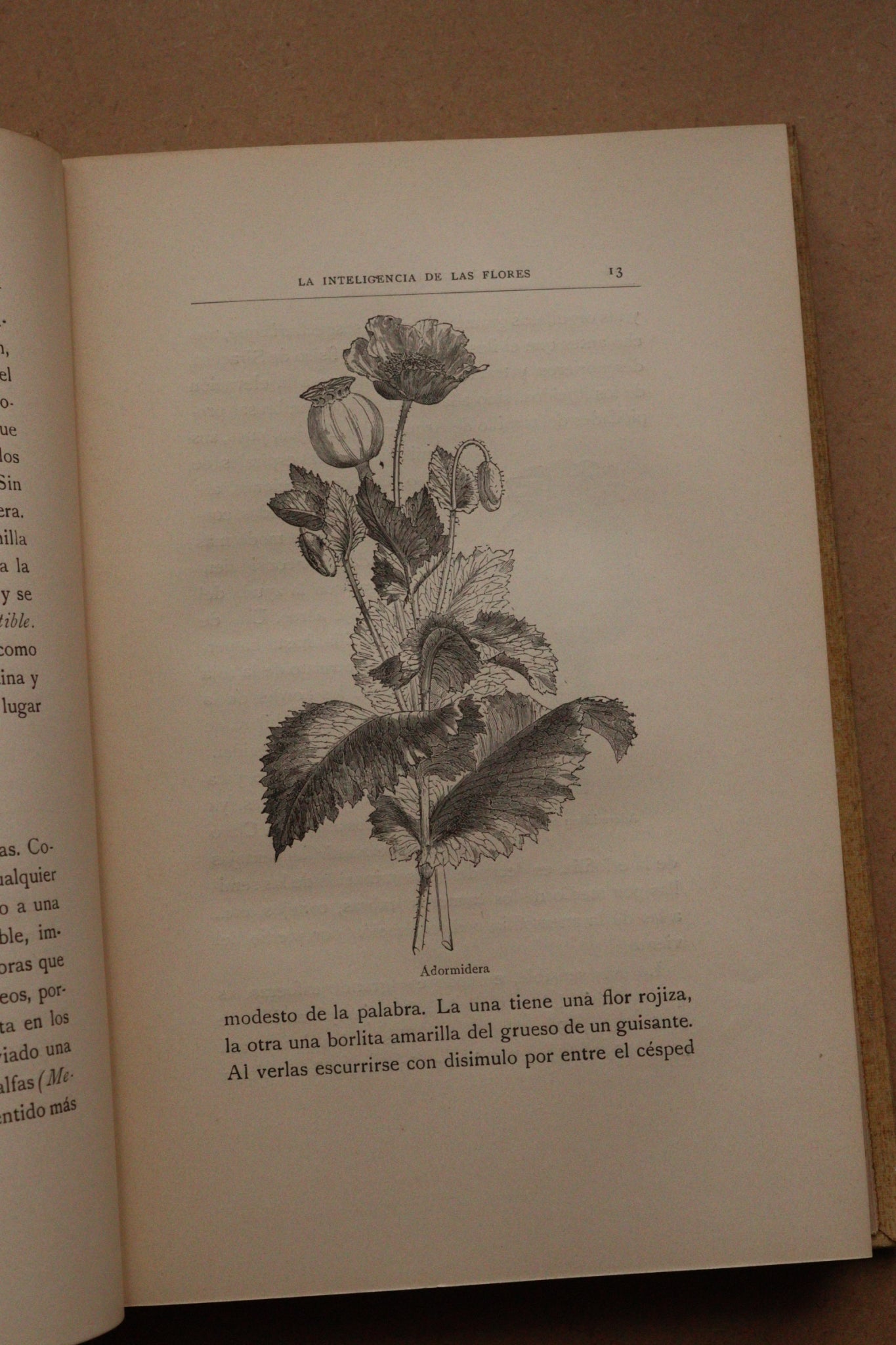 La inteligencia de las flores, Montaner y Simón, 1914