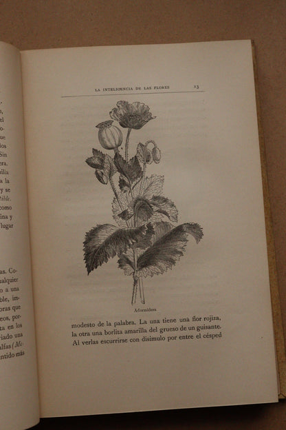 La inteligencia de las flores, Montaner y Simón, 1914