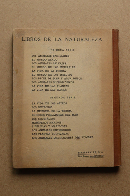 El Mundo de los Minerales, Libros de la Naturaleza, 1929