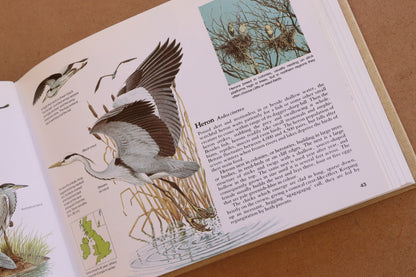 Birds of Britain, 1981