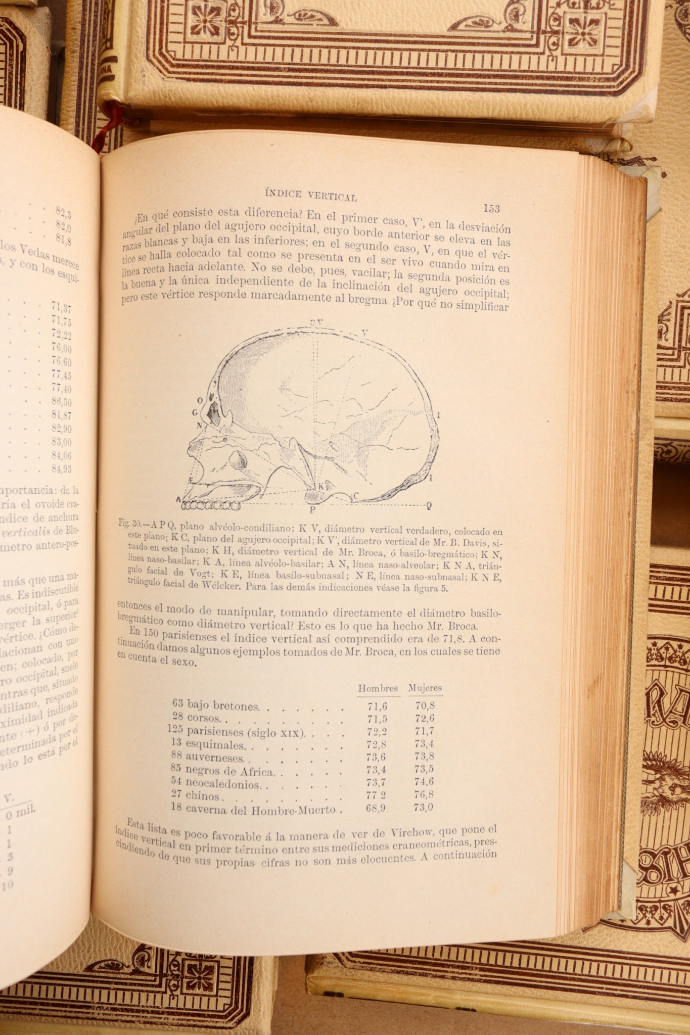 Historia Natural, Montaner y Simón, 1891-1895, Completa