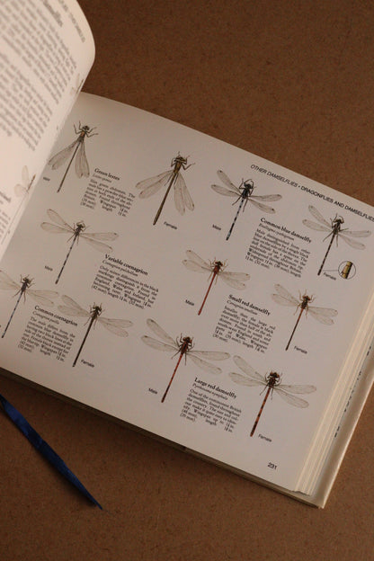 Reader's Digest Nature Lover's Library Field Guides of Britain, 1ª Edición, 1981-1984, Completa