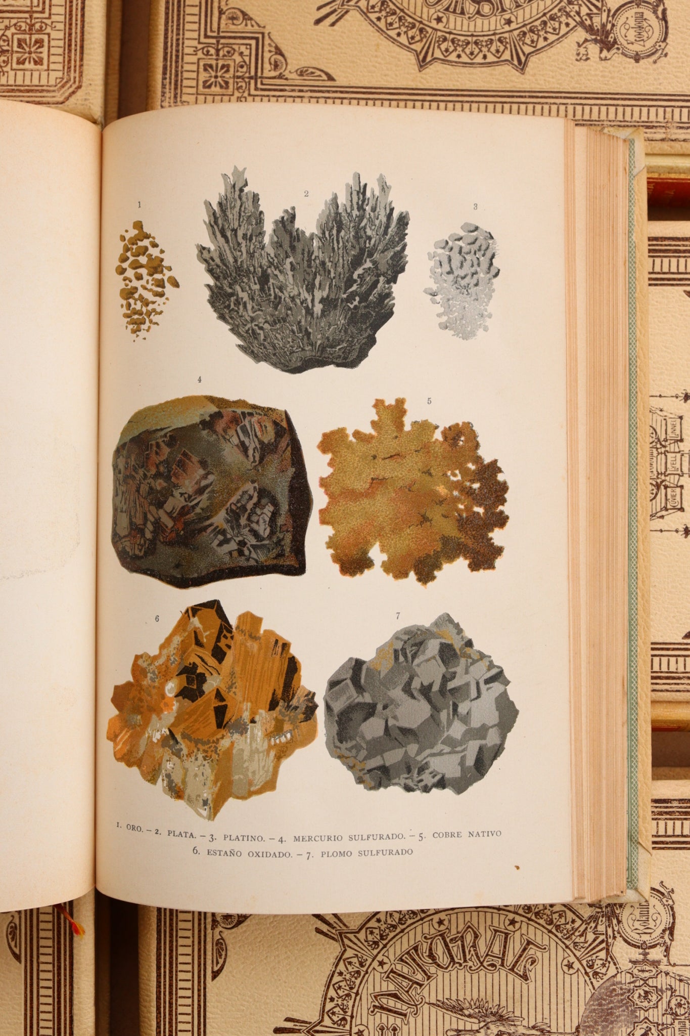 Historia Natural, Montaner y Simón, 1891-1895, Completa