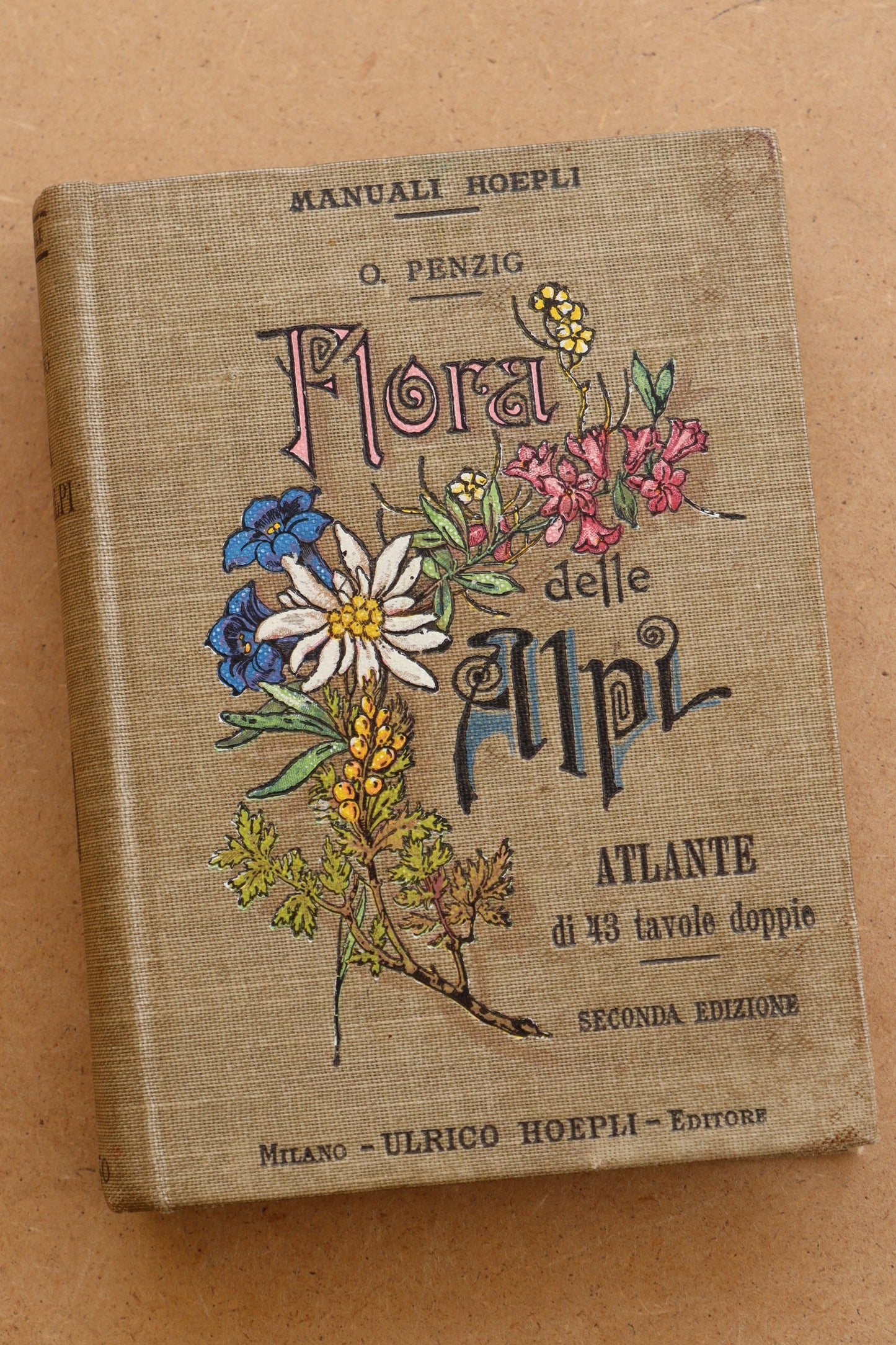 Flora delle Alpi, Atlas de botánica 1915