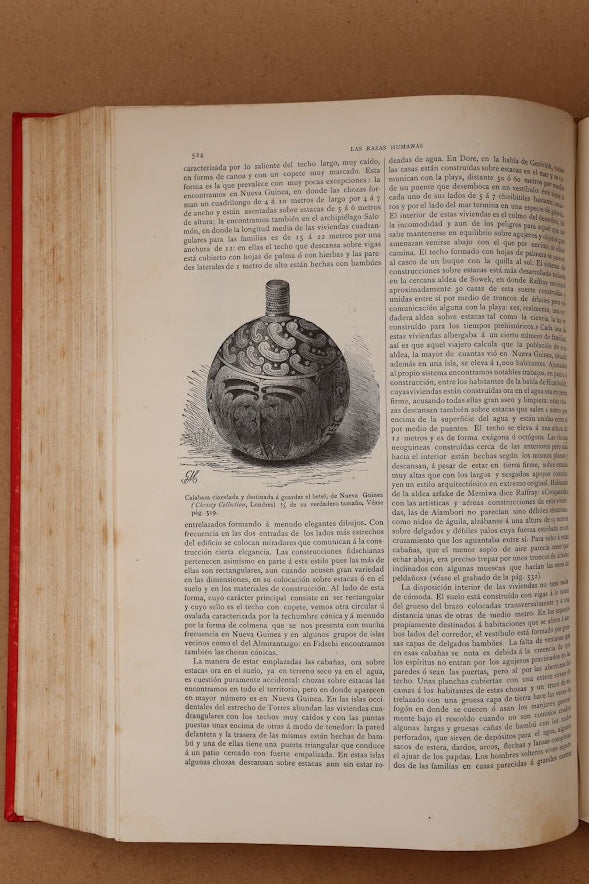 Las Razas Humanas, Montaner y Simón, 1888-1889