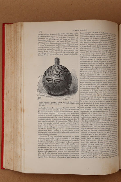 Las Razas Humanas, Montaner y Simón, 1888-1889