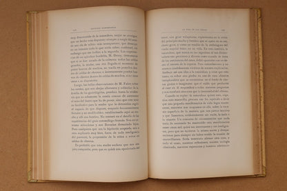 La vida de las abejas, Montaner y Simón, 1913