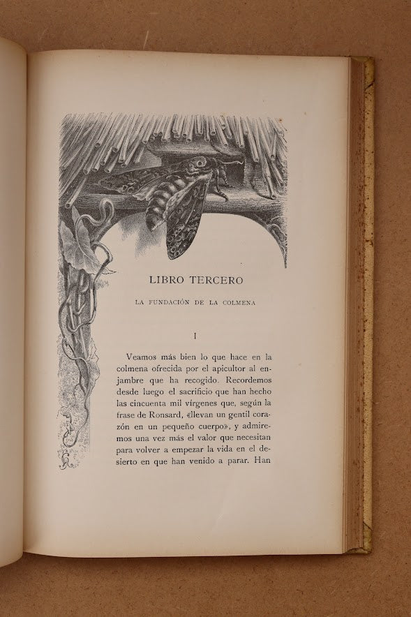 La vida de las abejas, Montaner y Simón, 1913