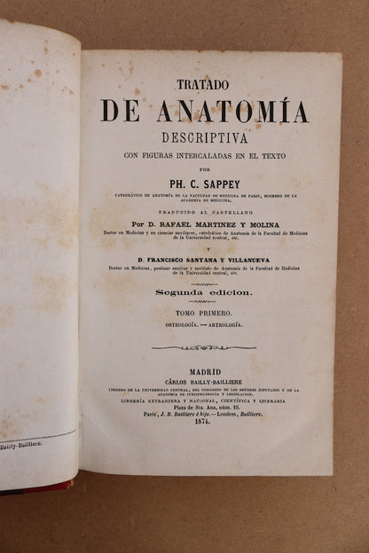 Anatomía Descriptiva, Sappey, 1874