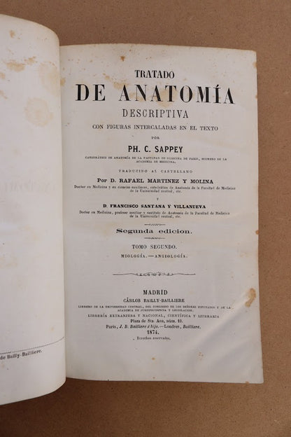 Anatomía Descriptiva, Sappey, 1874