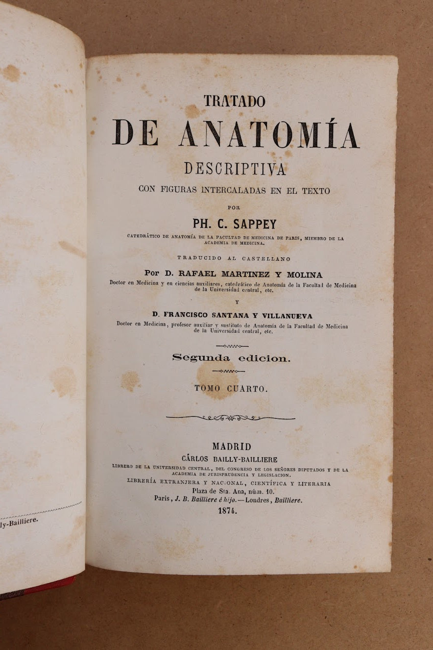 Anatomía Descriptiva, Sappey, 1874