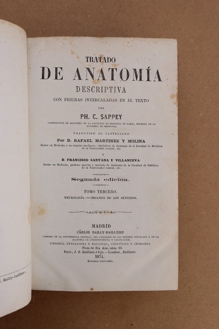 Anatomía Descriptiva, Sappey, 1874