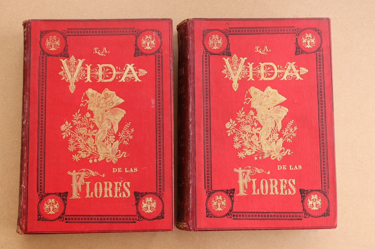 La vida de las Flores, Celestino Verdaguer, 1878