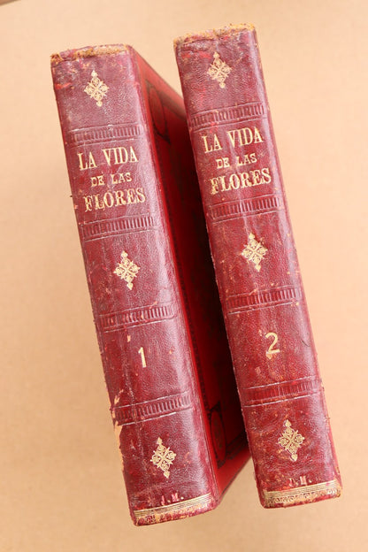 La vida de las Flores, Celestino Verdaguer, 1878