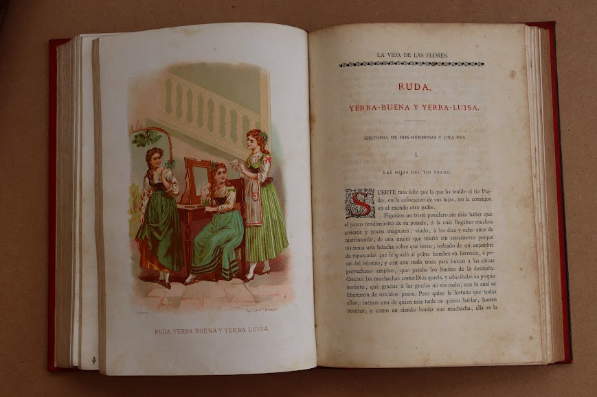 La vida de las Flores, Celestino Verdaguer, 1878