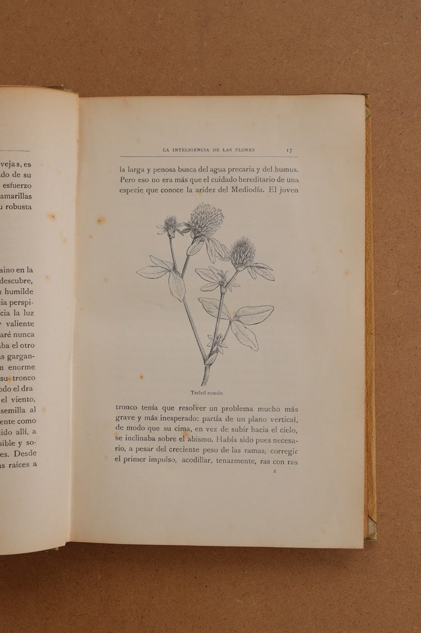 La inteligencia de las flores, Montaner y Simón, 1914