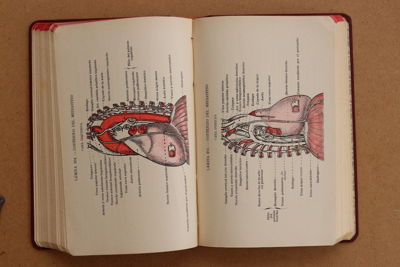 Atlas Manual de Anatomía, 1965