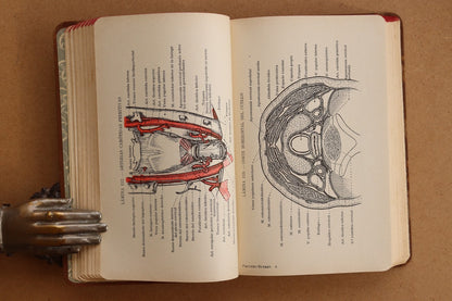 Atlas Manual de Anatomía, 1934