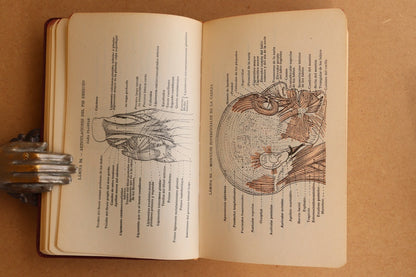 Atlas Manual de Anatomía, 1965