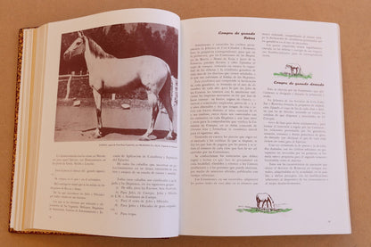 El Caballo en España, Edición Limitada, 1956