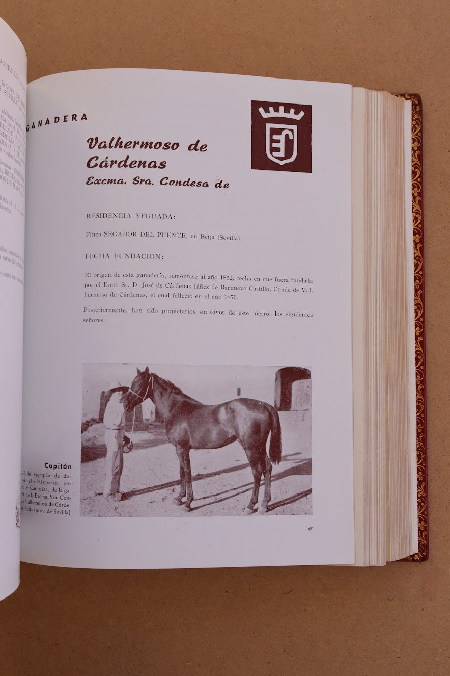 El Caballo en España, Edición Limitada, 1956