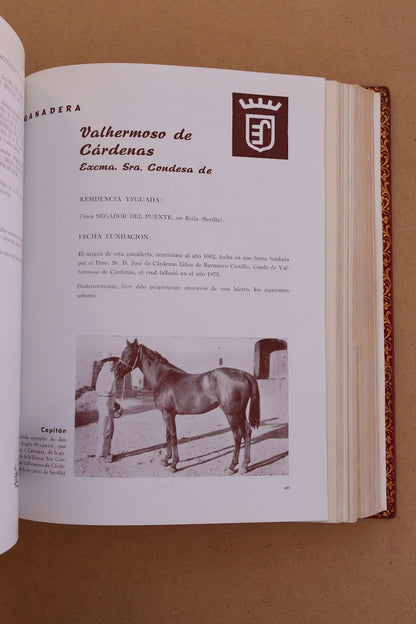 El Caballo en España, Edición Limitada, 1956