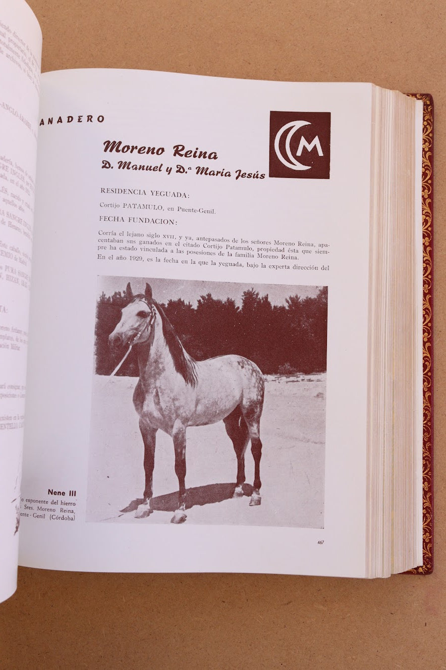 El Caballo en España, Edición Limitada, 1956