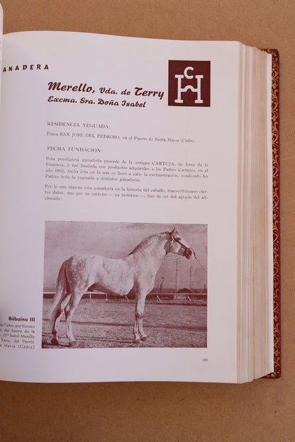 El Caballo en España, Edición Limitada, 1956