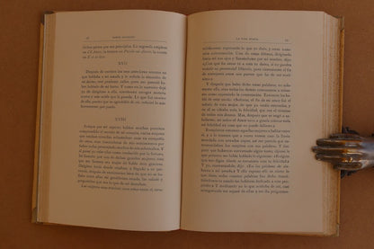 La Vida Nueva, Montaner y Simón, 1912