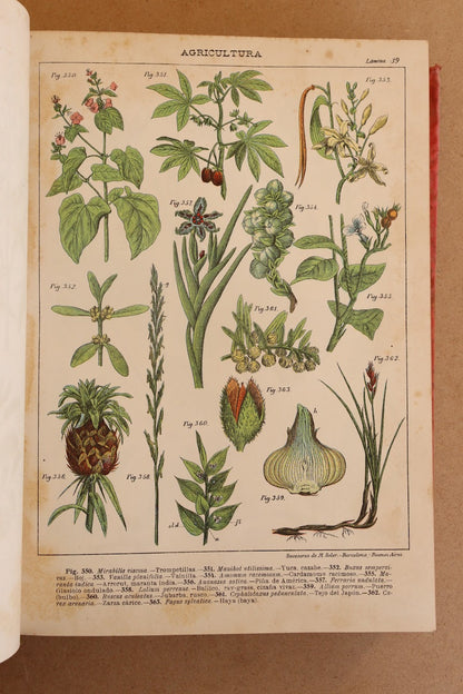 Novísimo tratado de Agricultura y Zootecnia, Final S.XIX