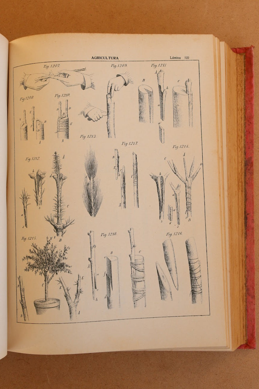 Novísimo tratado de Agricultura y Zootecnia, Final S.XIX