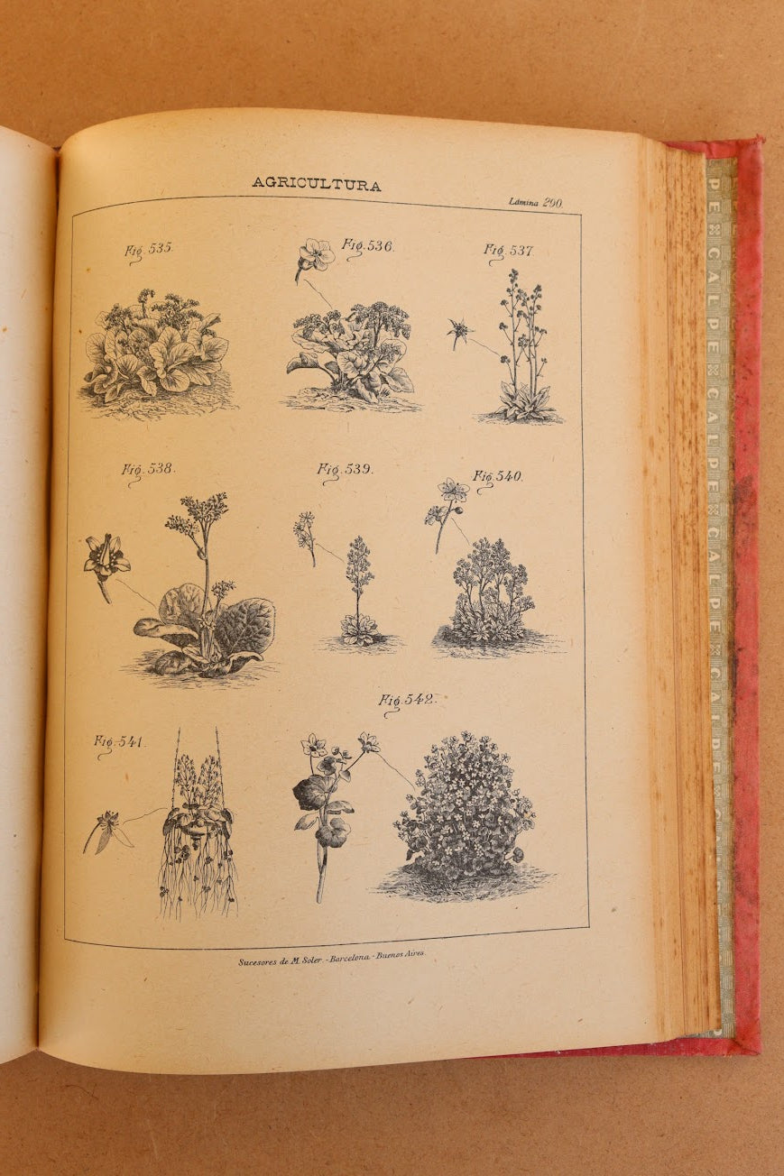 Novísimo tratado de Agricultura y Zootecnia, Final S.XIX