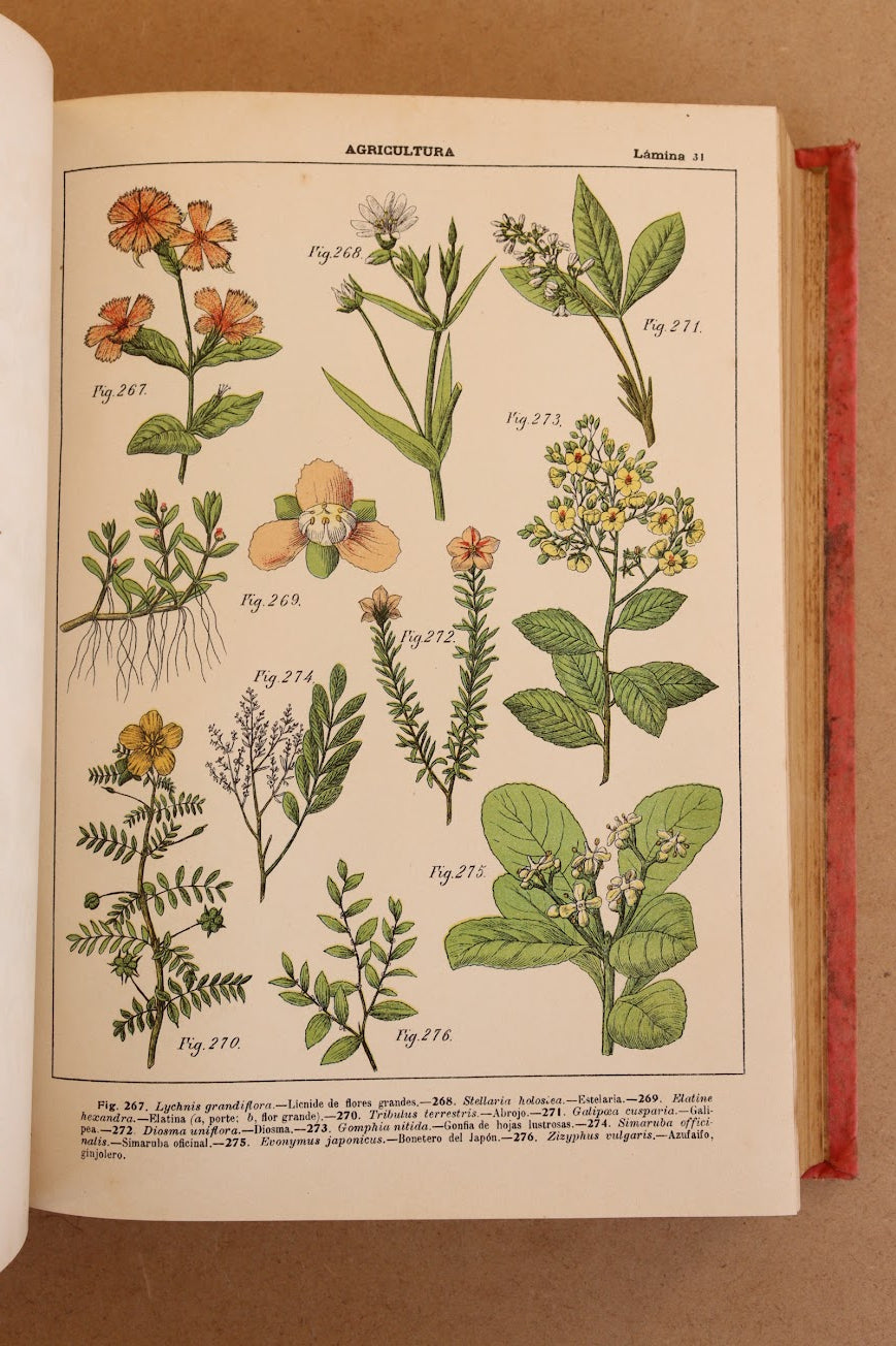 Novísimo tratado de Agricultura y Zootecnia, Final S.XIX