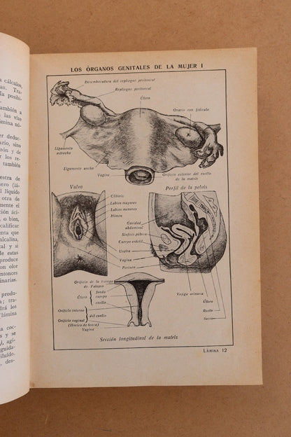 Consultorio Médico de las Famílias, Años 30