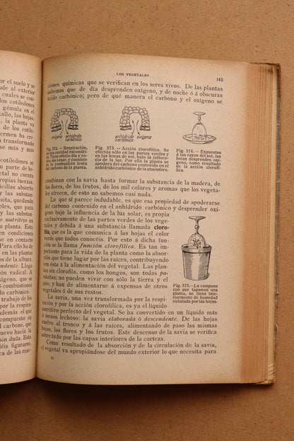 Ciencias Físicas y Naturales, Gustavo Gili, 1911