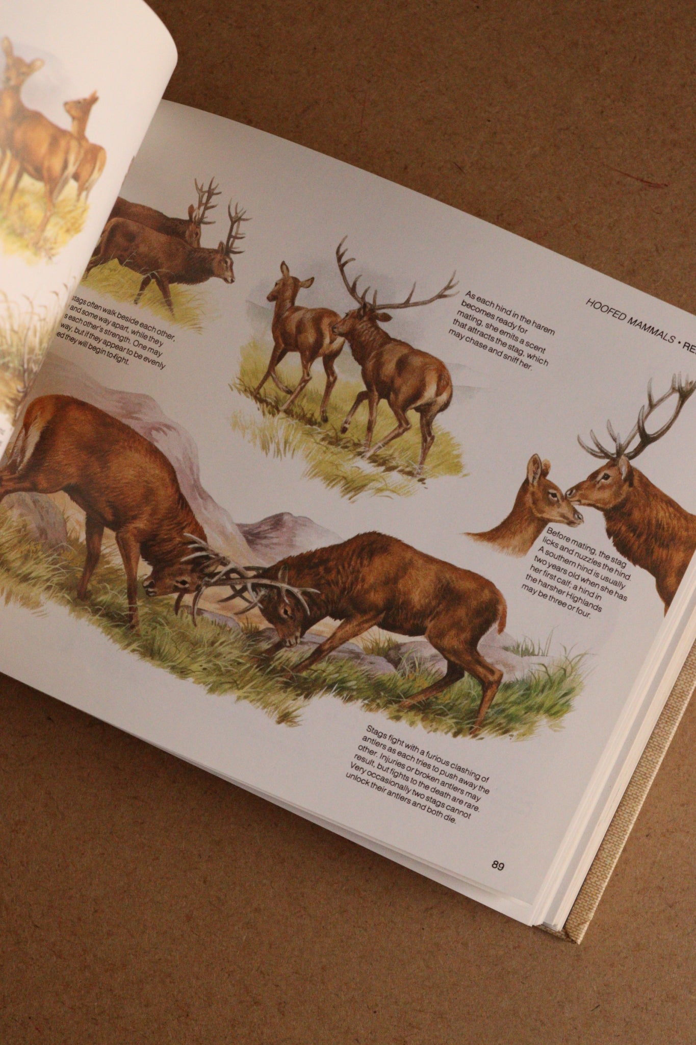 Reader's Digest Nature Lover's Library Field Guides of Britain, 1ª Edición, 1981-1984, Completa