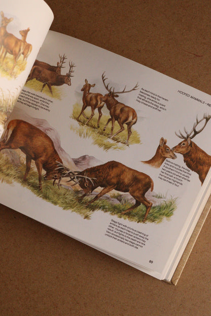 Reader's Digest Nature Lover's Library Field Guides of Britain, 1ª Edición, 1981-1984, Completa