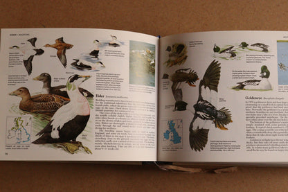 Reader's Digest Nature Lover's Library Field Guides of Britain, 1ª Edición, 1981-1984, Completa
