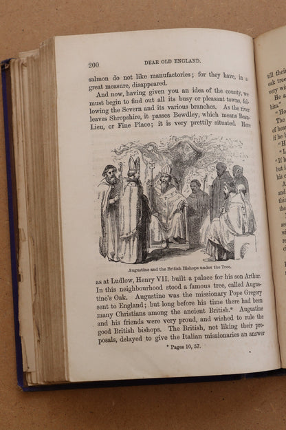 Dear Old England, Jane Anne Winscom, 1867