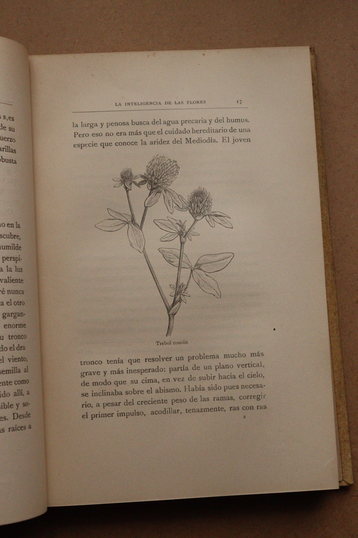 La inteligencia de las flores, Montaner y Simón, 1914