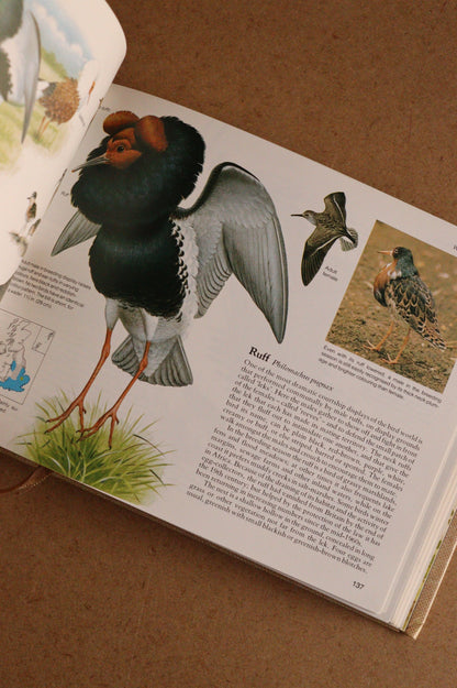 Reader's Digest Nature Lover's Library Field Guides of Britain, 1ª Edición, 1981-1984, Completa