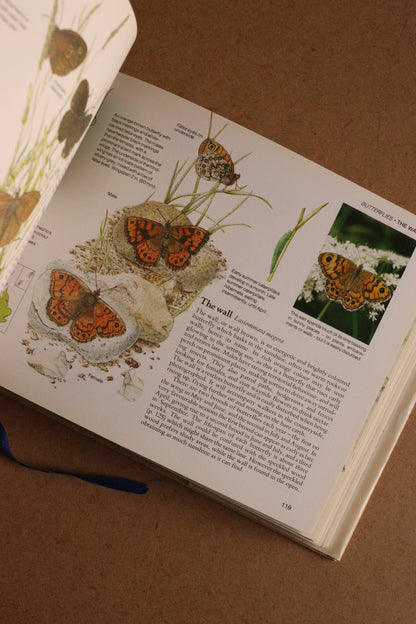 Reader's Digest Nature Lover's Library Field Guides of Britain, 1ª Edición, 1981-1984, Completa