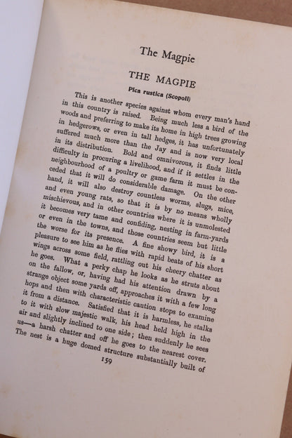 Birds of Britain, J. Lewis Bonhote, 1907