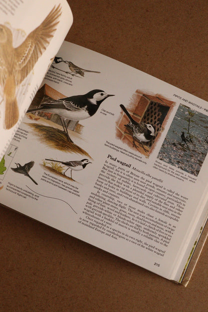 Reader's Digest Nature Lover's Library Field Guides of Britain, 1ª Edición, 1981-1984, Completa