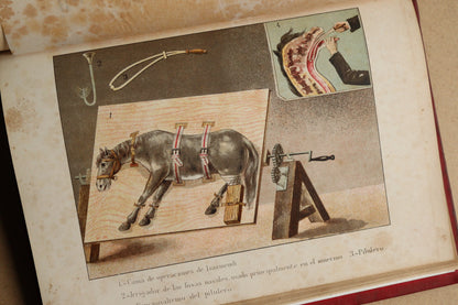 Formulario Enciclopédico Medicina, Farmacia y Veterinaria, Jaime Seix, 1893