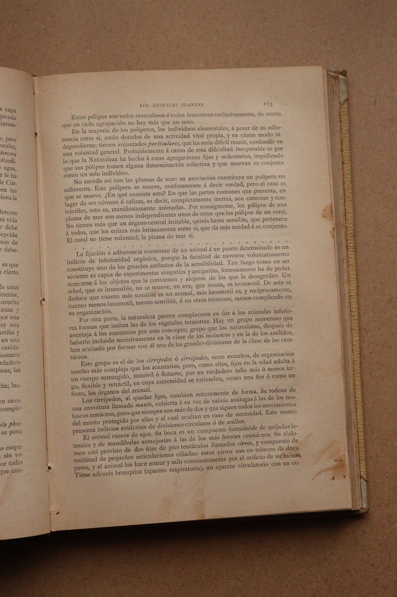 Misterios del Mar, Montaner y Simón, 1891