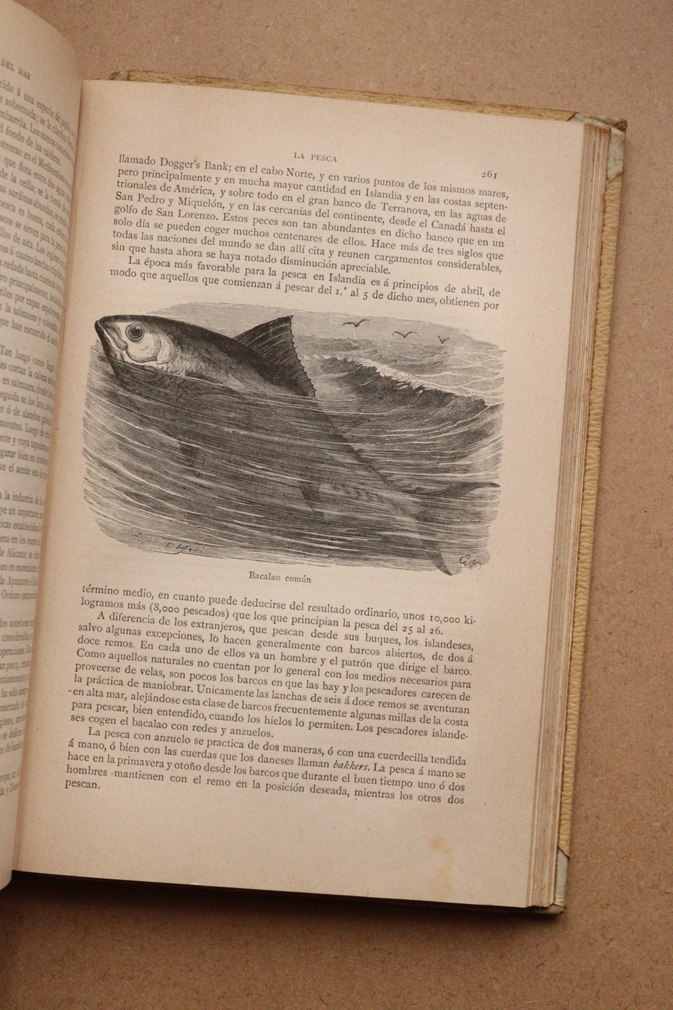 Misterios del Mar, Montaner y Simón, 1891