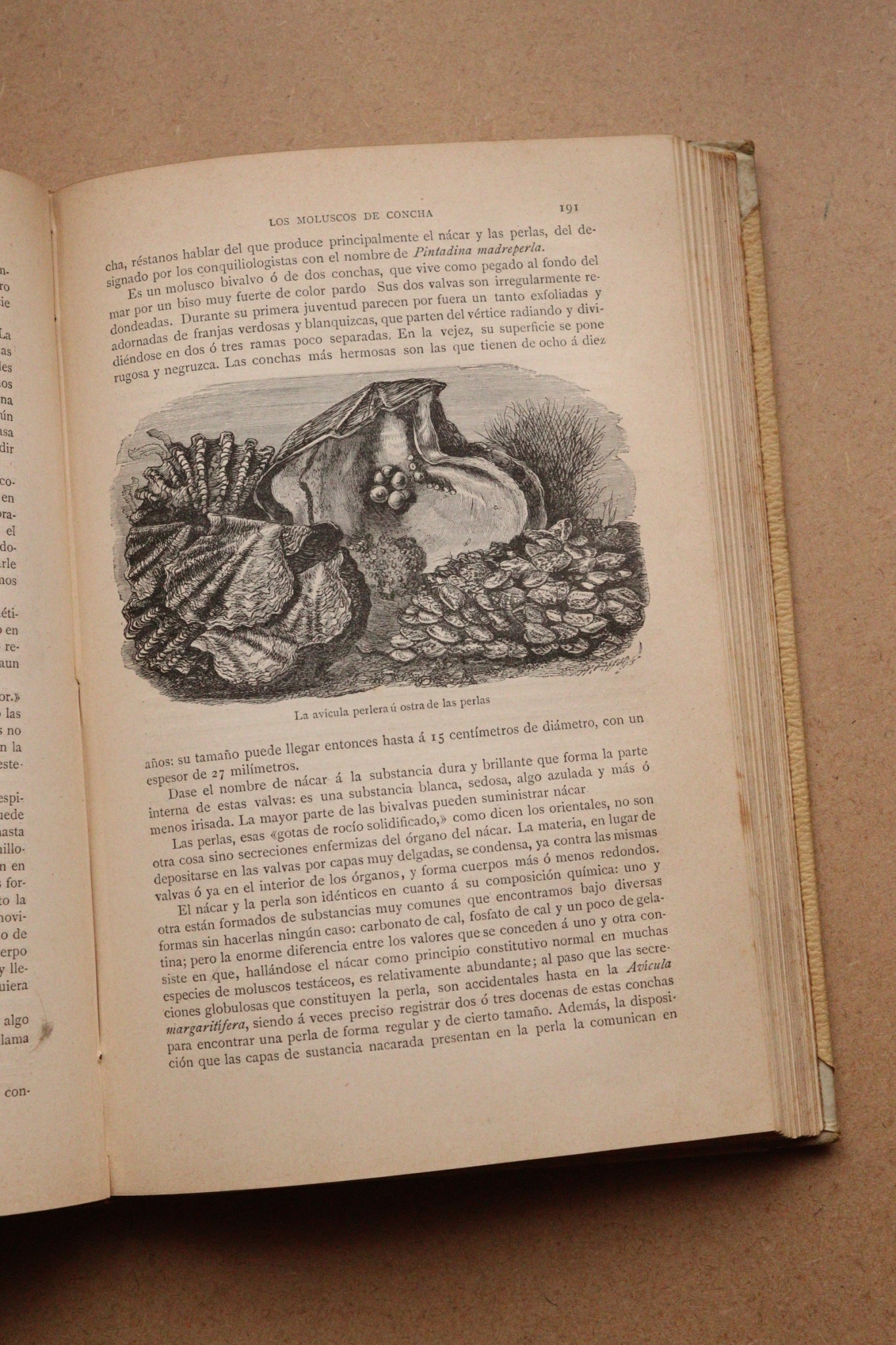 Misterios del Mar, Montaner y Simón, 1891