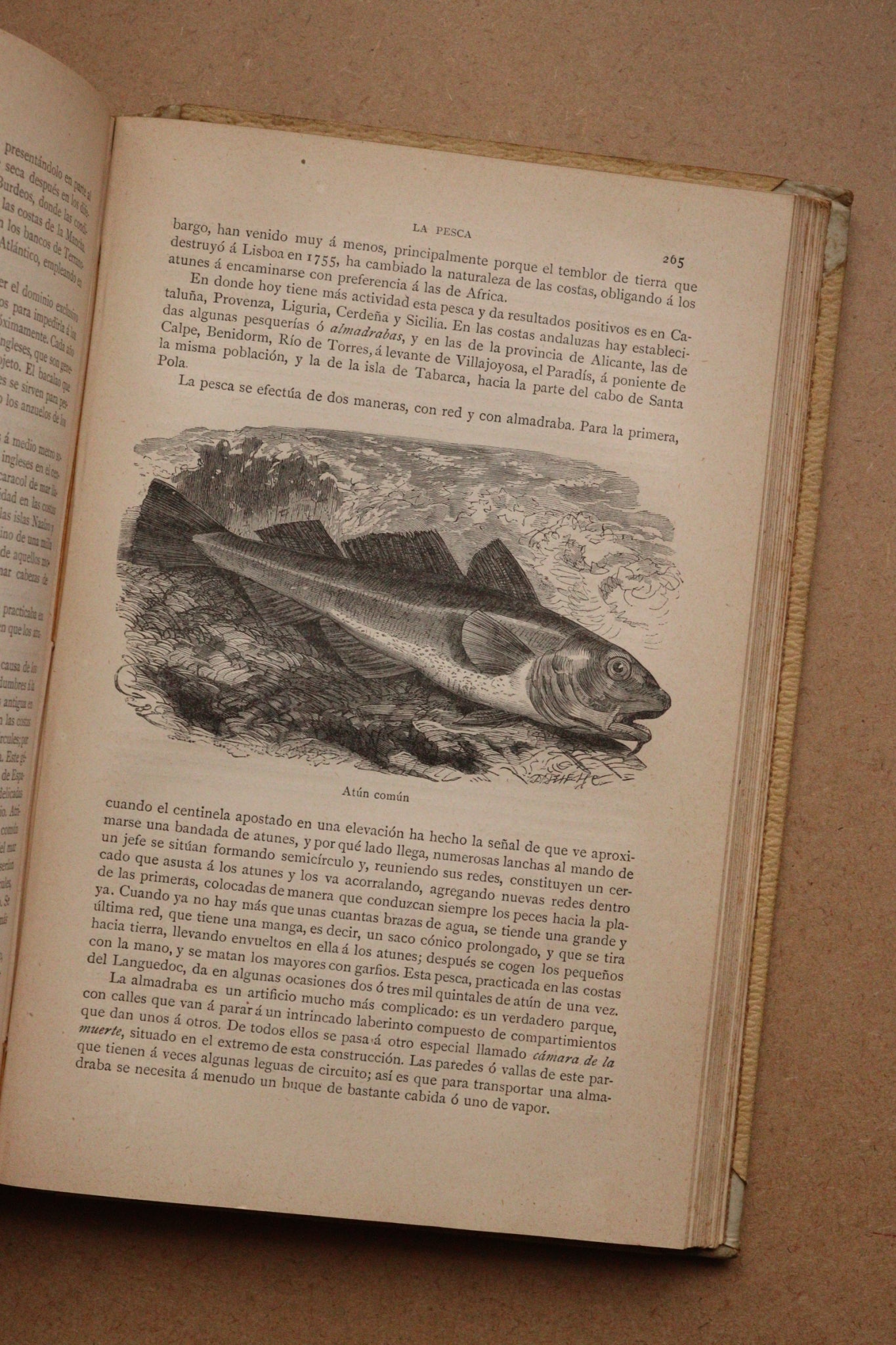 Misterios del Mar, Montaner y Simón, 1891