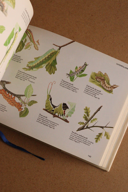 Reader's Digest Nature Lover's Library Field Guides of Britain, 1ª Edición, 1981-1984, Completa